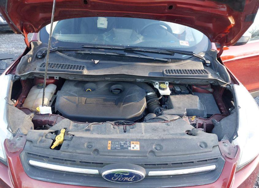 Photo 10 of 2015 Ford Escape SE (VIN 1FMCU9G94FUA06245)