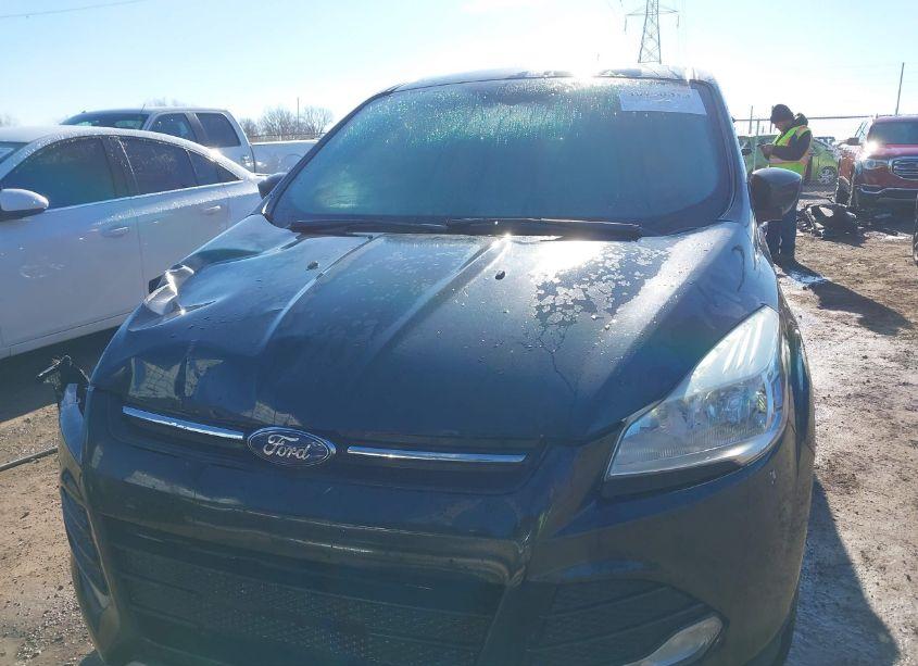 Photo 11 of 2015 Ford Escape SE (VIN 1FMCU9G94FUA10988)