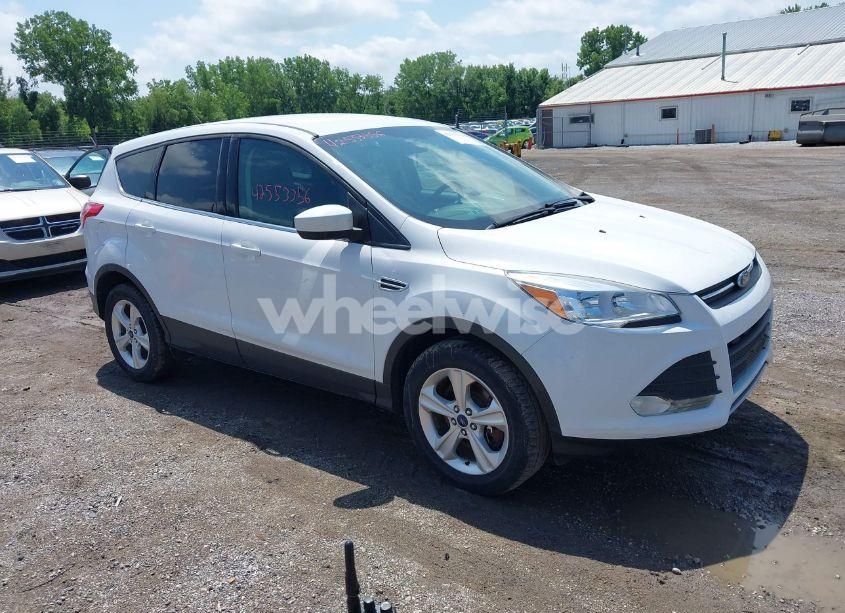 2015 Ford Escape SE (VIN 1FMCU9G94FUB09116) main photo