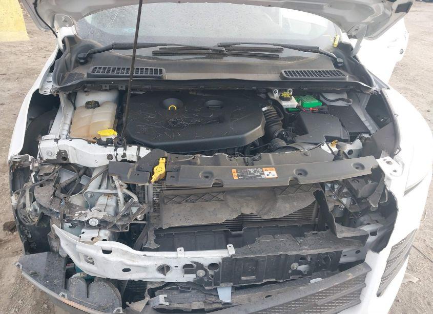 Photo 10 of 2015 Ford Escape SE (VIN 1FMCU9G94FUC02802)