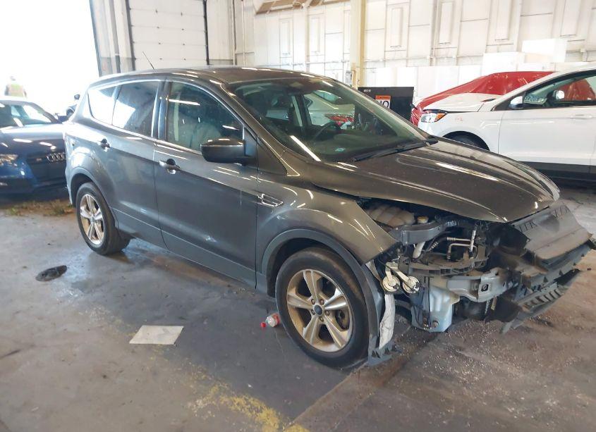 2016 Ford Escape SE (VIN 1FMCU9G94GUA32099) main photo