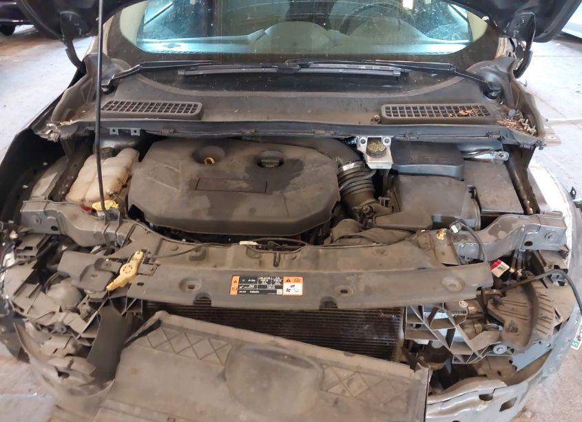 Photo 10 of 2016 Ford Escape SE (VIN 1FMCU9G94GUA32099)