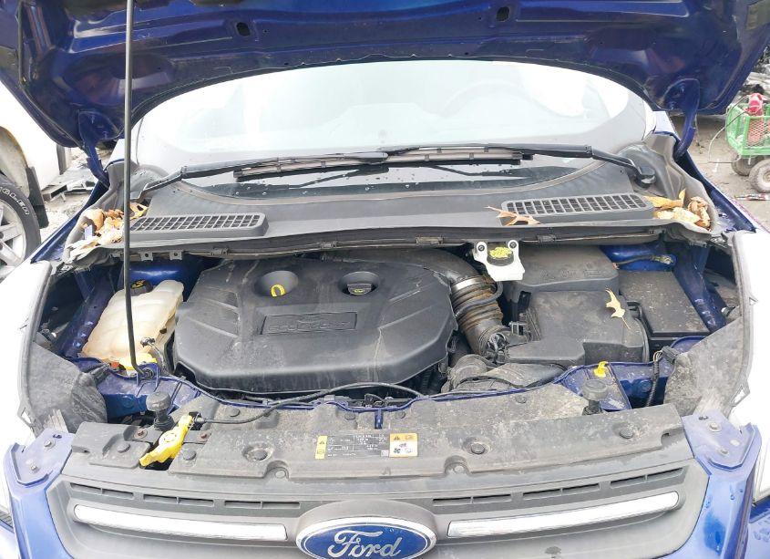 Photo 10 of 2016 Ford Escape SE (VIN 1FMCU9G94GUA63577)