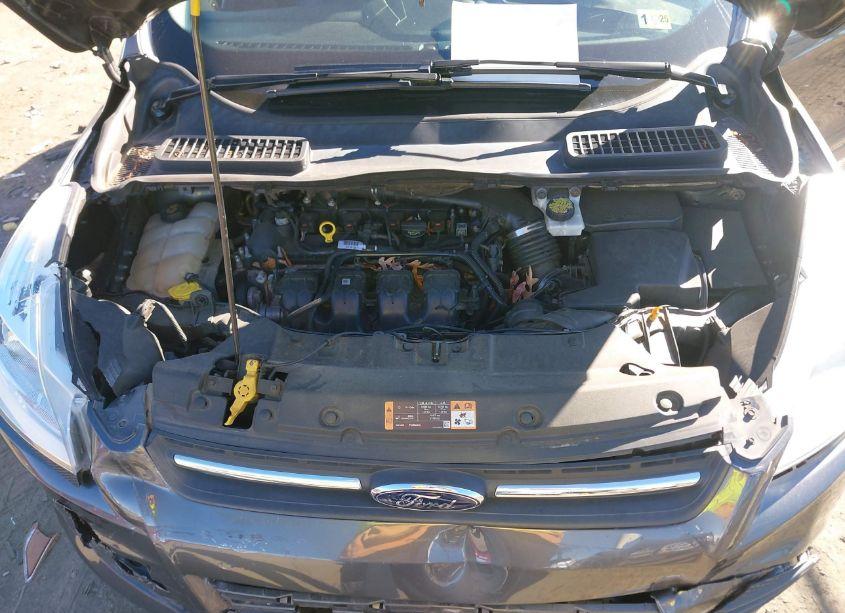 Photo 10 of 2016 Ford Escape SE (VIN 1FMCU9G94GUC16667)