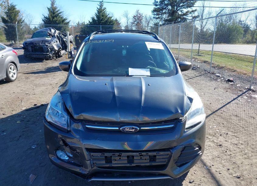 Photo 12 of 2016 Ford Escape SE (VIN 1FMCU9G94GUC16667)