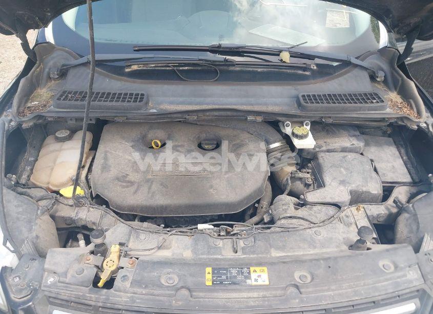 Photo 10 of 2013 Ford Escape SE (VIN 1FMCU9G95DUC56302)