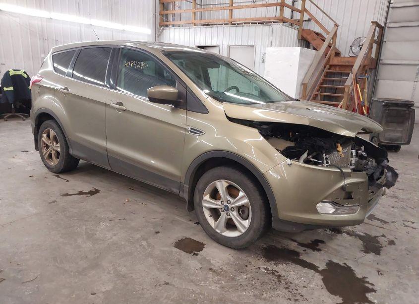 2014 Ford Escape SE (VIN 1FMCU9G95EUA07595) main photo