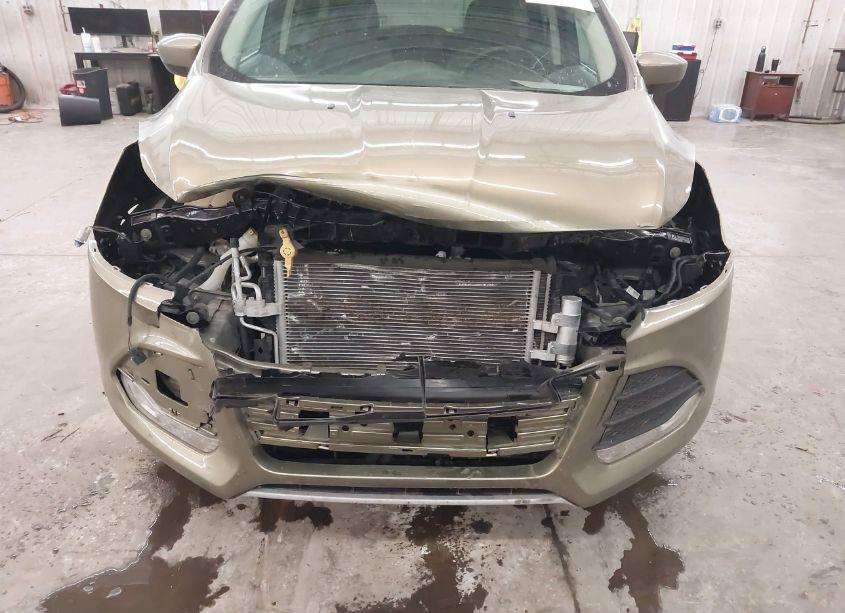 Photo 6 of 2014 Ford Escape SE (VIN 1FMCU9G95EUA07595)