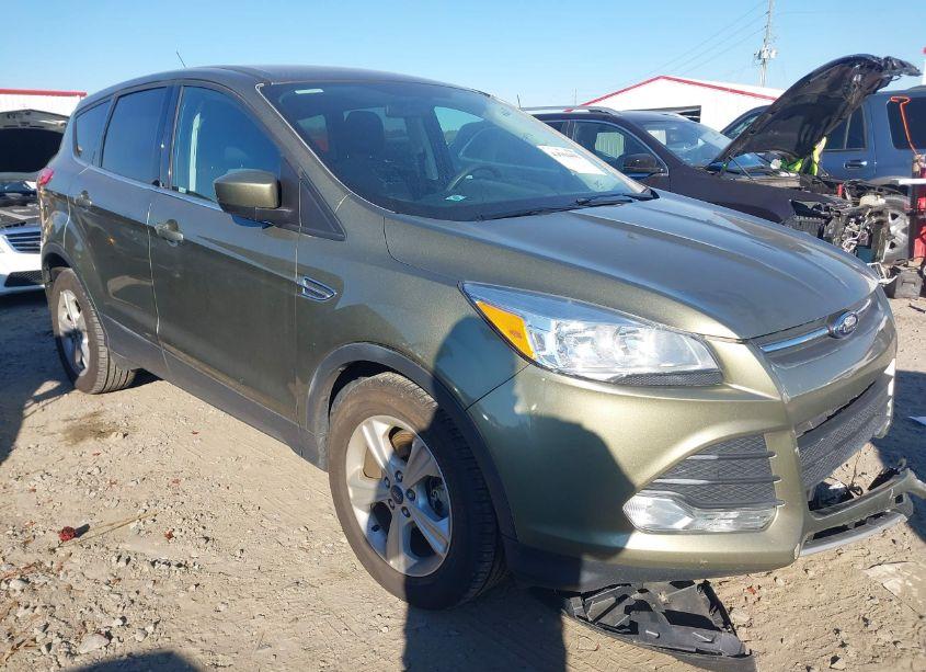 2014 Ford Escape SE (VIN 1FMCU9G95EUB06904) main photo