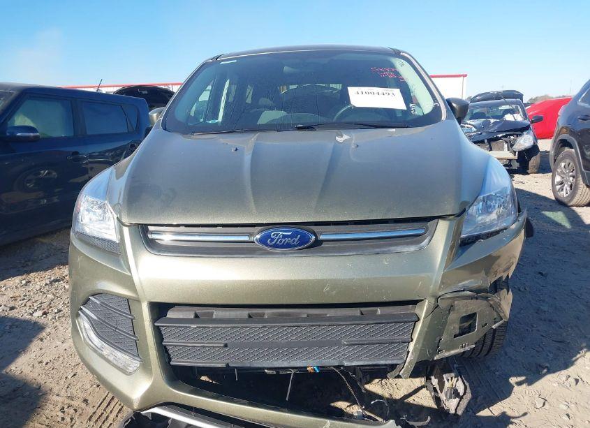 Photo 12 of 2014 Ford Escape SE (VIN 1FMCU9G95EUB06904)