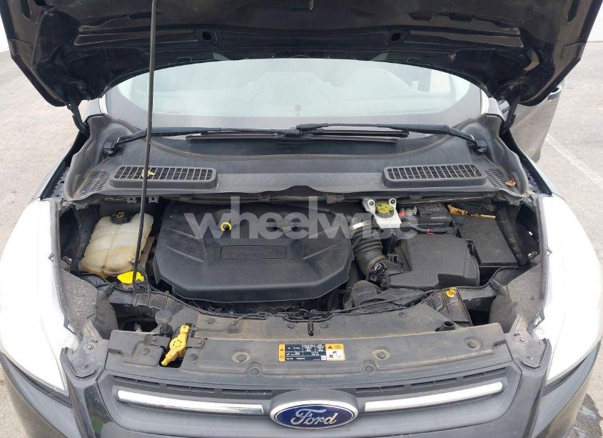 Photo 10 of 2014 Ford Escape SE (VIN 1FMCU9G95EUC31076)
