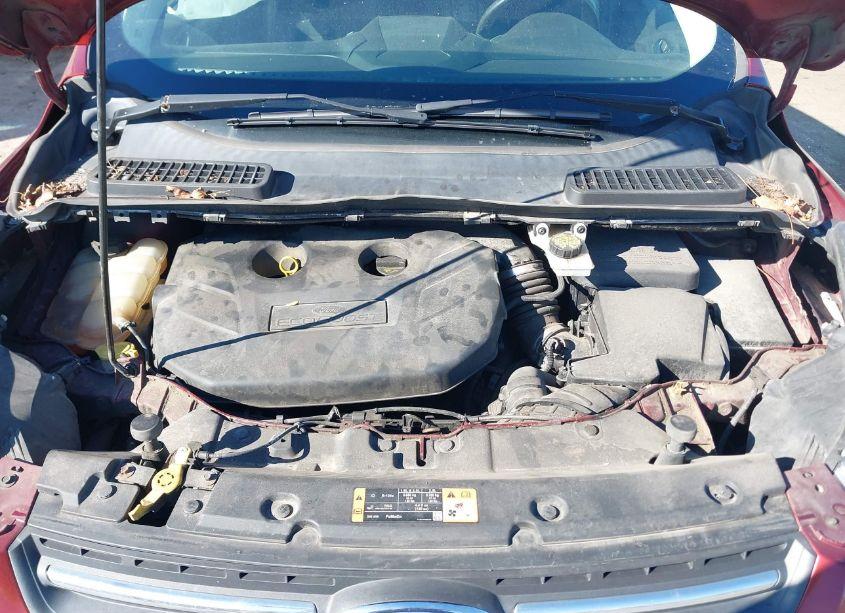 Photo 10 of 2015 Ford Escape SE (VIN 1FMCU9G95FUA71363)