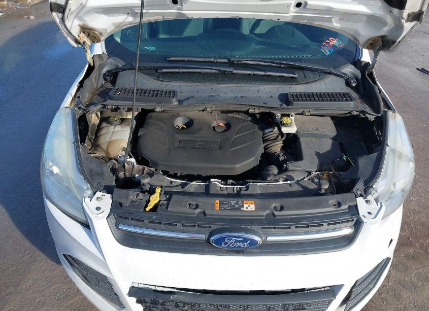 Photo 10 of 2015 Ford Escape SE (VIN 1FMCU9G95FUC41320)