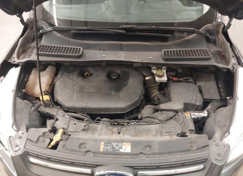 Photo 10 of 2016 Ford Escape SE (VIN 1FMCU9G95GUA77388)