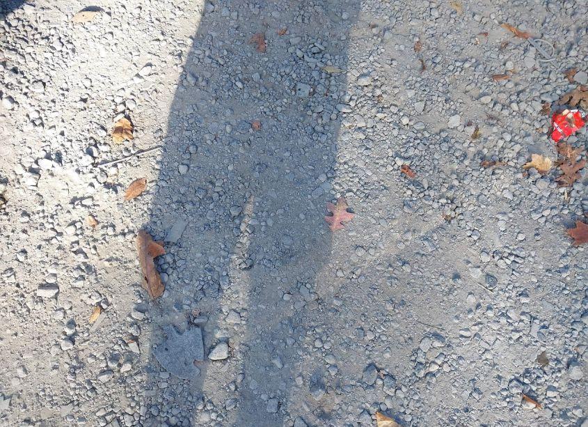 Photo 12 of 2016 Ford Escape SE (VIN 1FMCU9G95GUC82550)