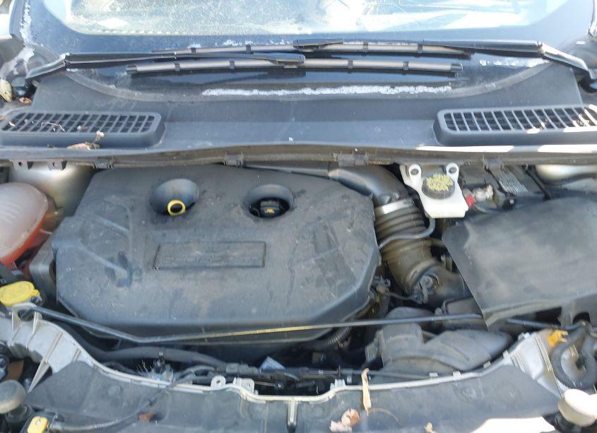 Photo 10 of 2017 Ford Escape SE (VIN 1FMCU9G95HUB81106)