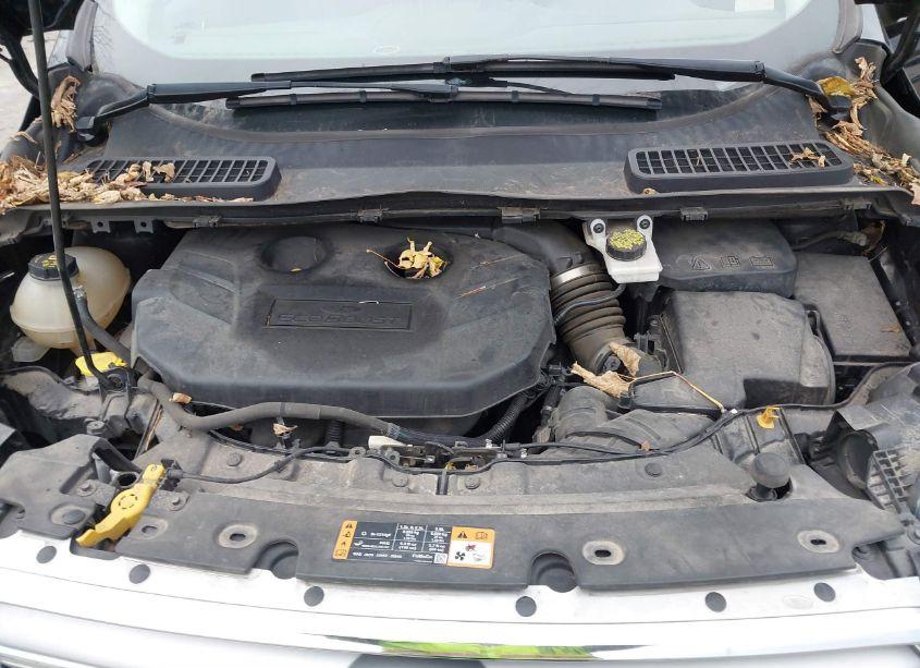 Photo 10 of 2017 Ford Escape SE (VIN 1FMCU9G95HUC87054)