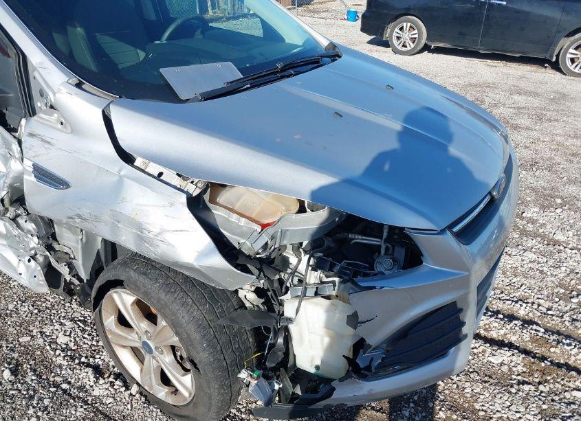 Photo 12 of 2013 Ford Escape SE (VIN 1FMCU9G96DUB15268)