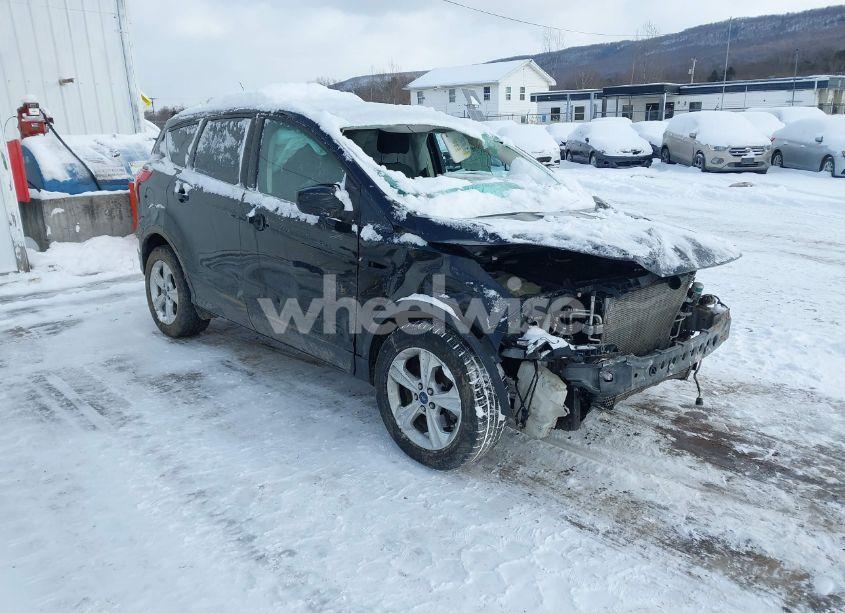 2013 Ford Escape SE (VIN 1FMCU9G96DUD62743) main photo
