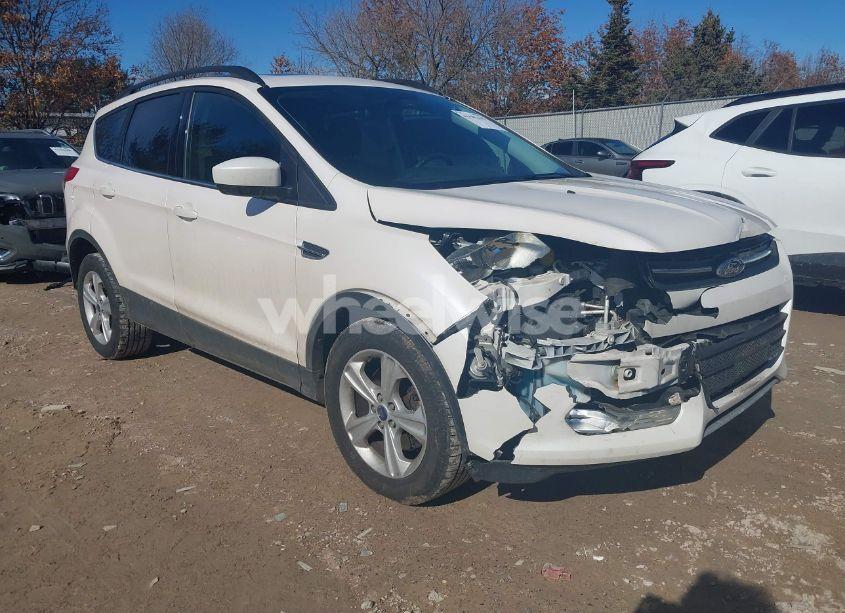 2014 Ford Escape SE (VIN 1FMCU9G96EUB30984) main photo