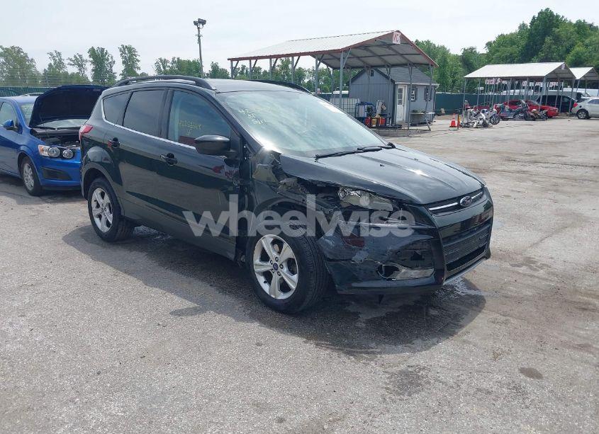 2014 Ford Escape SE (VIN 1FMCU9G96EUB37871) main photo