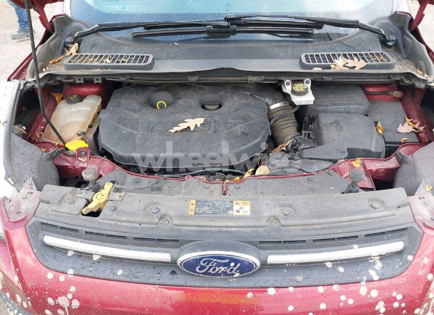 Photo 10 of 2014 Ford Escape SE (VIN 1FMCU9G96EUC41244)