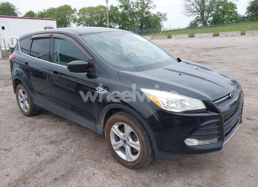 2014 Ford Escape SE (VIN 1FMCU9G96EUD61299) main photo