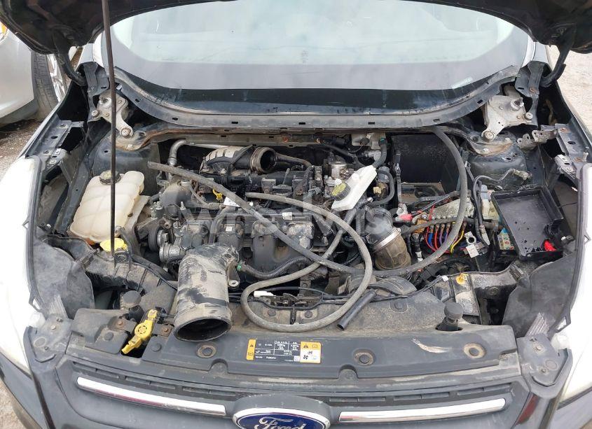 Photo 10 of 2014 Ford Escape SE (VIN 1FMCU9G96EUD61299)