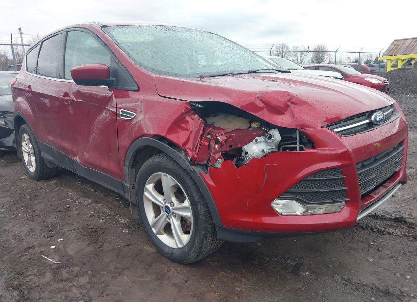 2015 Ford Escape SE (VIN 1FMCU9G96FUB54509) main photo