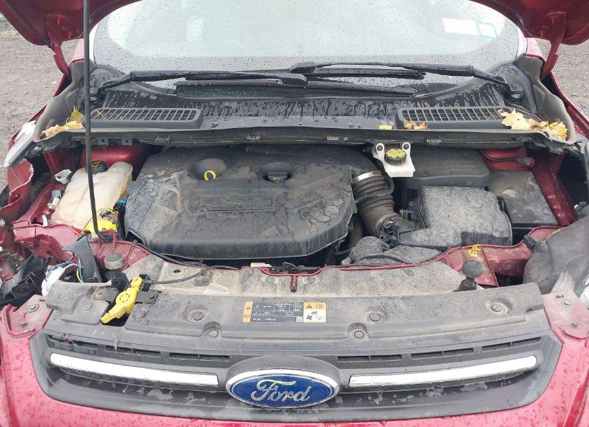 Photo 10 of 2015 Ford Escape SE (VIN 1FMCU9G96FUB54509)