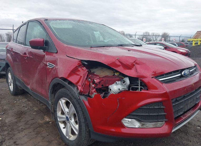 Photo 6 of 2015 Ford Escape SE (VIN 1FMCU9G96FUB54509)