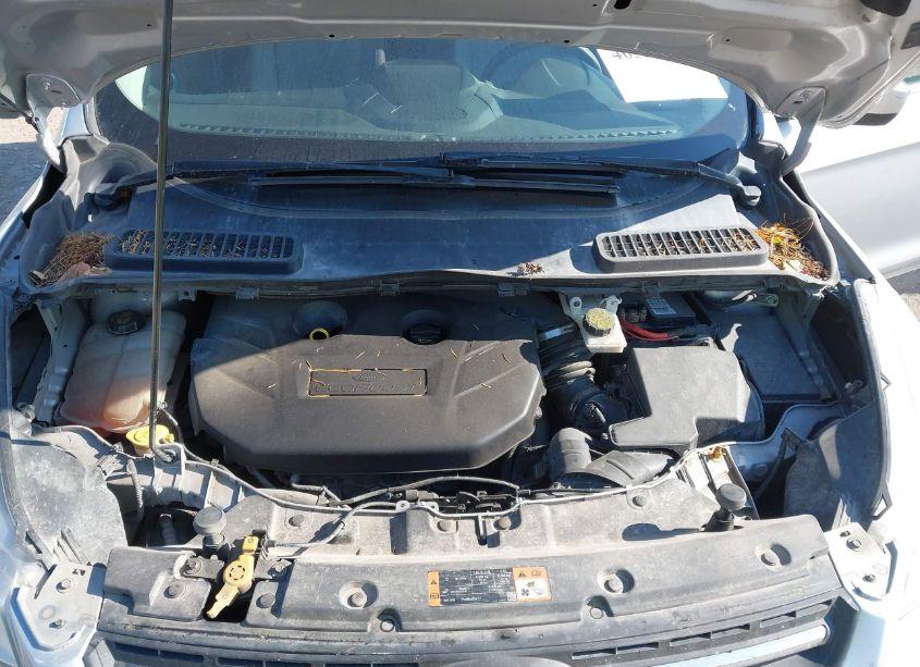 Photo 10 of 2015 Ford Escape SE (VIN 1FMCU9G96FUC05796)