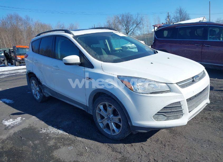 2016 Ford Escape SE (VIN 1FMCU9G96GUB42698) main photo