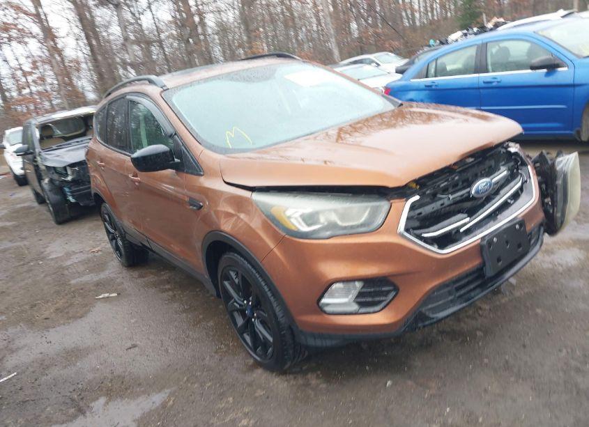 2017 Ford Escape SE (VIN 1FMCU9G96HUA10266) main photo
