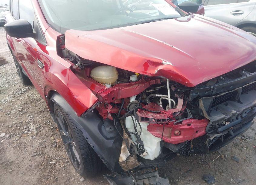 Photo 6 of 2017 Ford Escape SE (VIN 1FMCU9G96HUB60538)