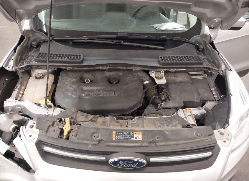 Photo 10 of 2013 Ford Escape SE (VIN 1FMCU9G97DUC03178)