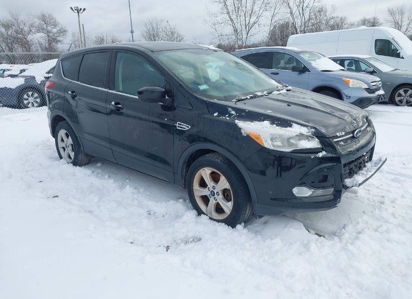 2014 Ford Escape SE (VIN 1FMCU9G97EUA15083) main photo