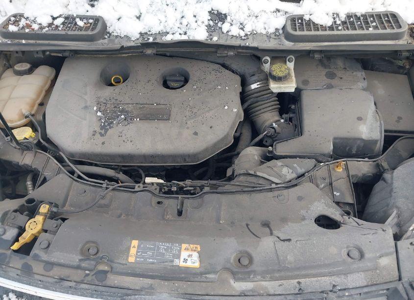 Photo 10 of 2014 Ford Escape SE (VIN 1FMCU9G97EUA15083)