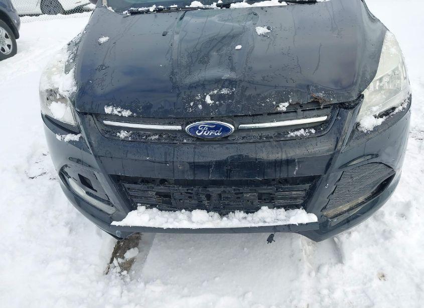 Photo 6 of 2014 Ford Escape SE (VIN 1FMCU9G97EUA15083)