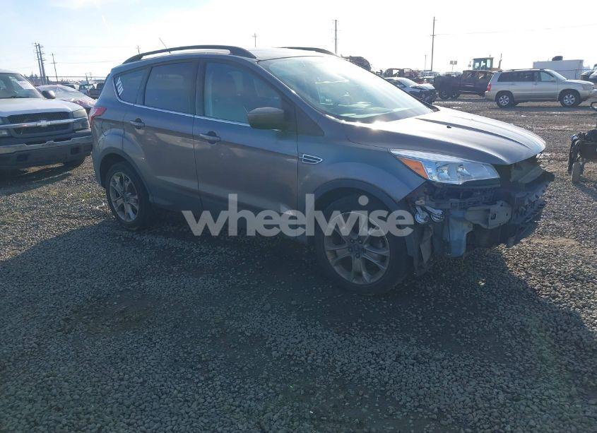 2014 Ford Escape SE (VIN 1FMCU9G97EUE54008) main photo