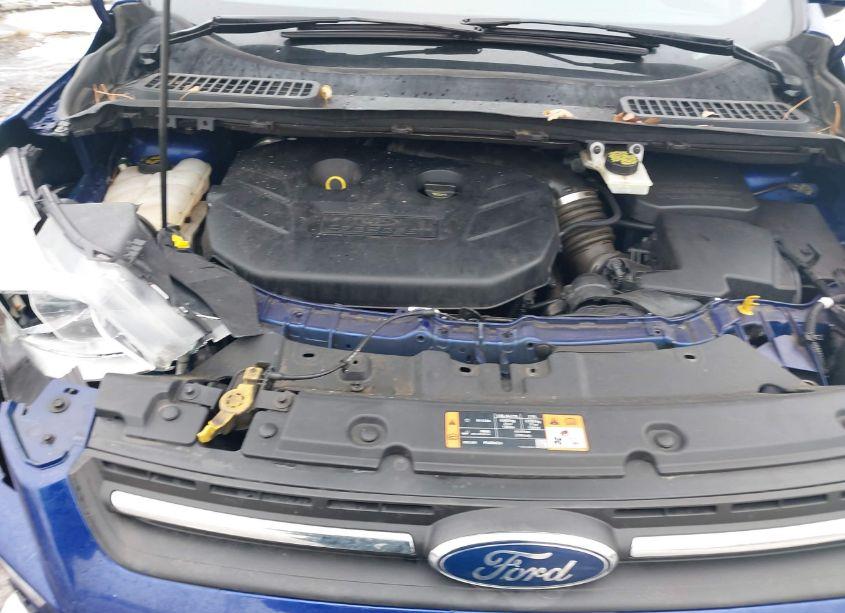 Photo 10 of 2015 Ford Escape SE (VIN 1FMCU9G97FUB90225)