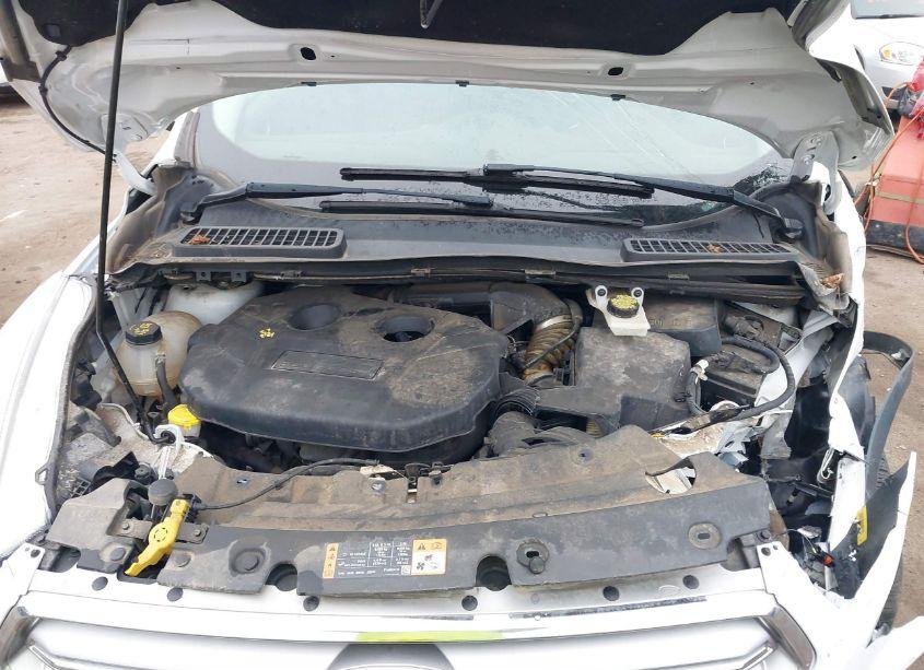 Photo 10 of 2017 Ford Escape SE (VIN 1FMCU9G97HUB89580)