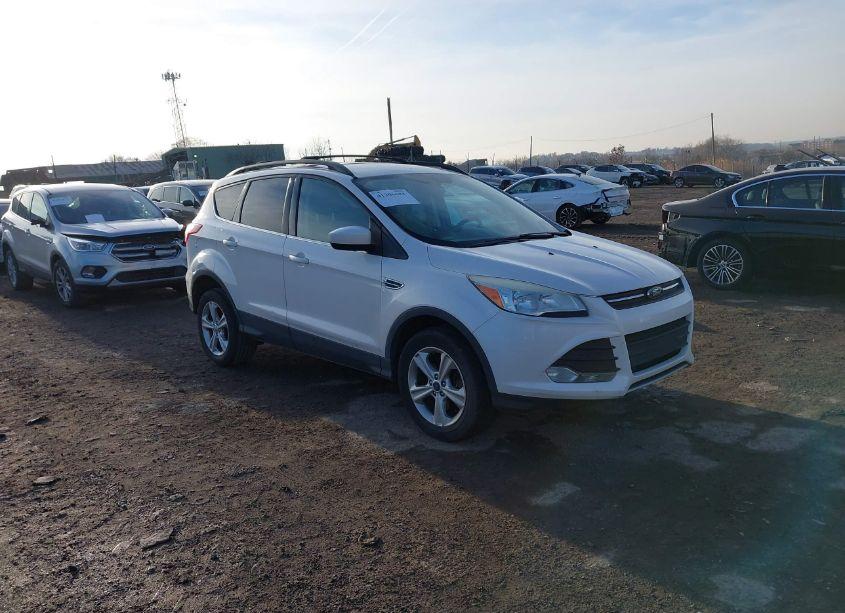 2013 Ford Escape SE (VIN 1FMCU9G98DUA18203) main photo