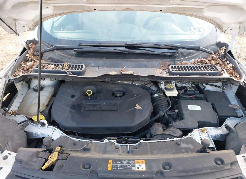 Photo 10 of 2013 Ford Escape SE (VIN 1FMCU9G98DUA18203)