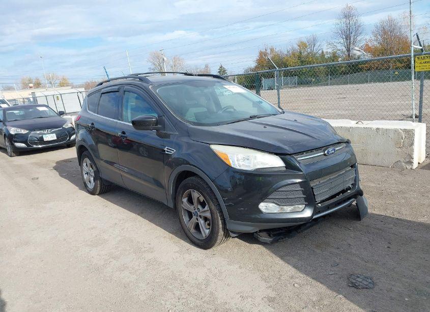 2013 Ford Escape SE (VIN 1FMCU9G98DUB03896) main photo