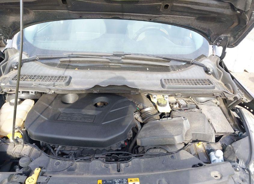 Photo 10 of 2013 Ford Escape SE (VIN 1FMCU9G98DUB03896)