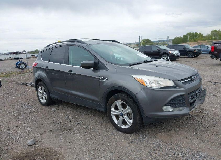 2013 Ford Escape SE (VIN 1FMCU9G98DUD42977) main photo