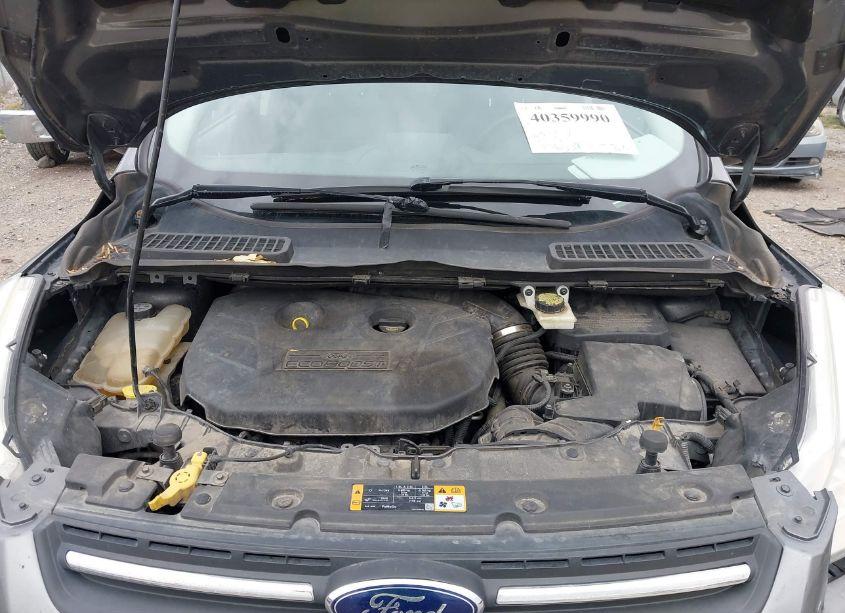 Photo 10 of 2013 Ford Escape SE (VIN 1FMCU9G98DUD42977)