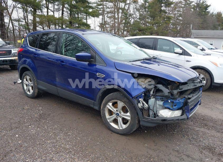 2014 Ford Escape SE (VIN 1FMCU9G98EUC48647) main photo
