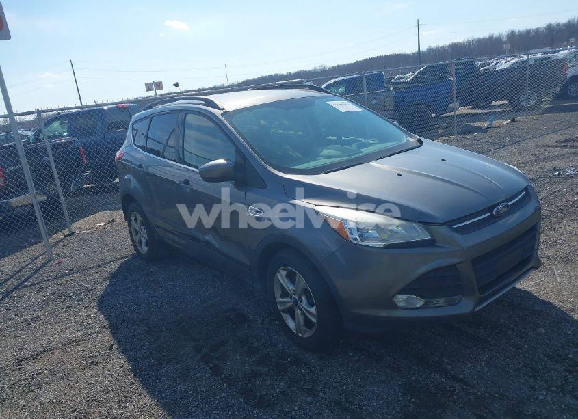 2014 Ford Escape SE (VIN 1FMCU9G98EUD26411) main photo